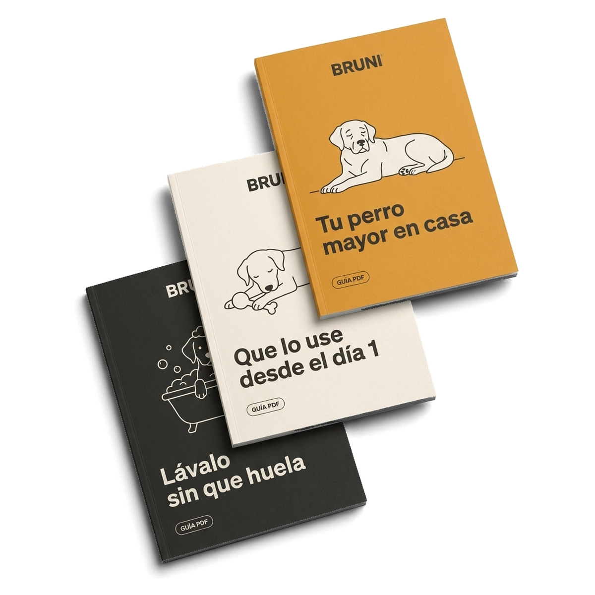 3 guías PDF - Adiestramiento y Control